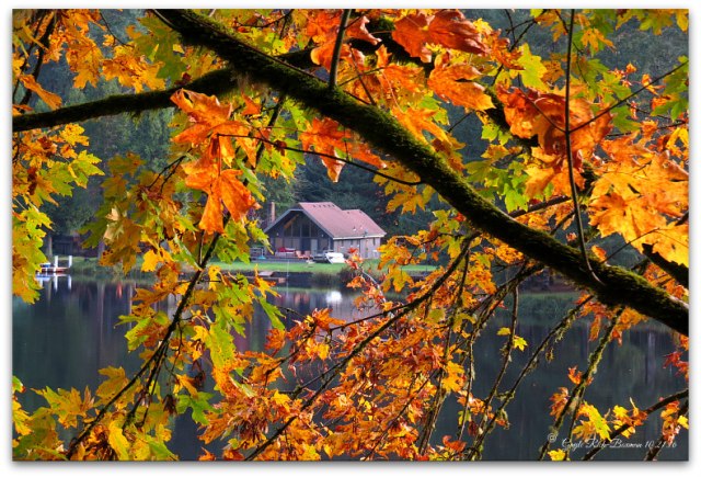 Autumn colors on Fishhawk Lake Photo by Gayle Rich-Boxman 10.16
