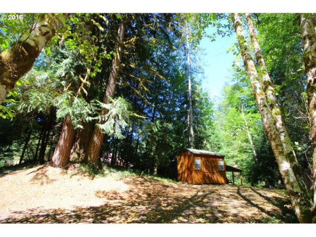 Shed located at vacant lot for sale by Gayle Rich-Boxman REALTOR® Vernonia Realty Direct: (503)755-2905